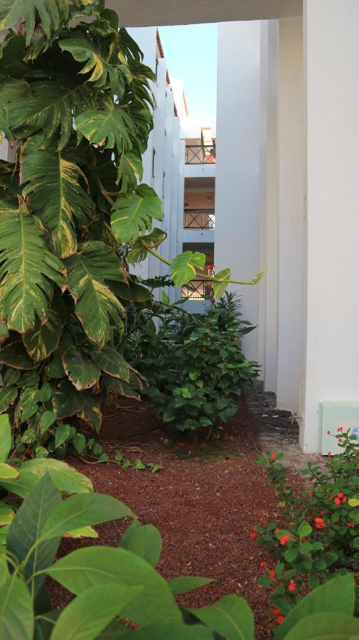 Apartamento En Tenerife Sur, Parque Santiago 2 Arona  Buitenkant foto