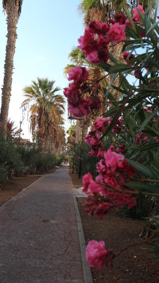 Apartamento En Tenerife Sur, Parque Santiago 2 Arona  Buitenkant foto